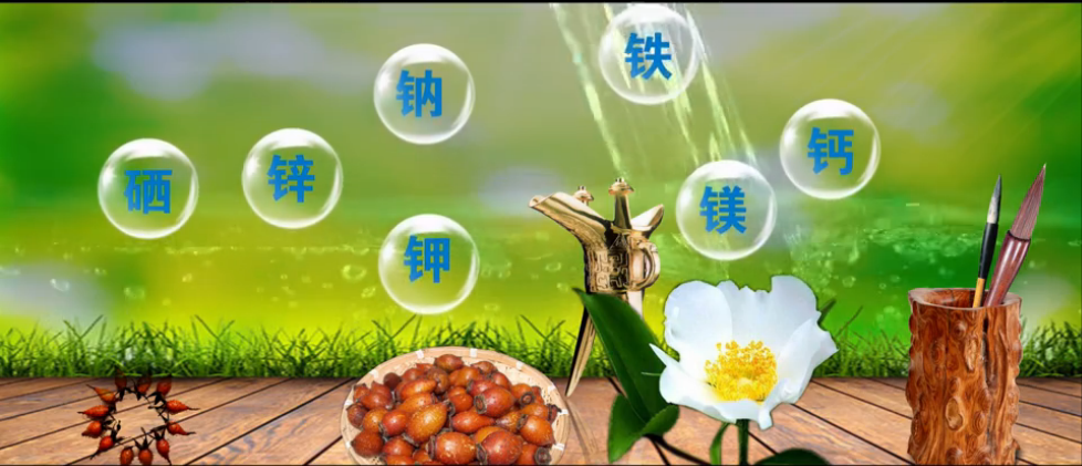QQ图片20171010091616.png